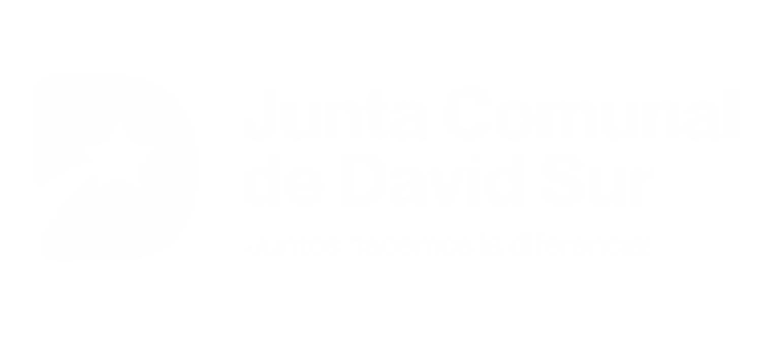 jcdavidsur.gob.pa