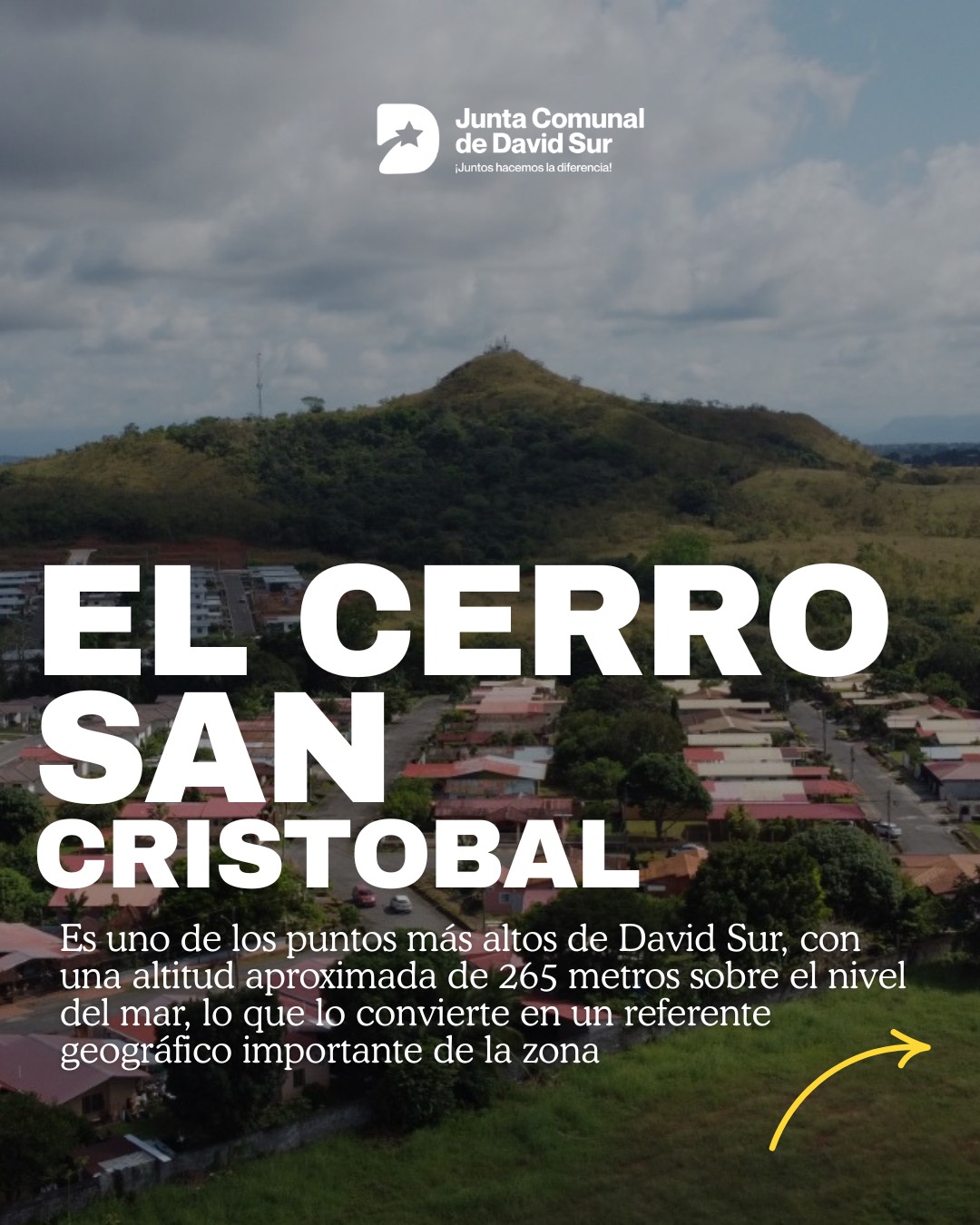 Datos Curiosos david Sur (2)