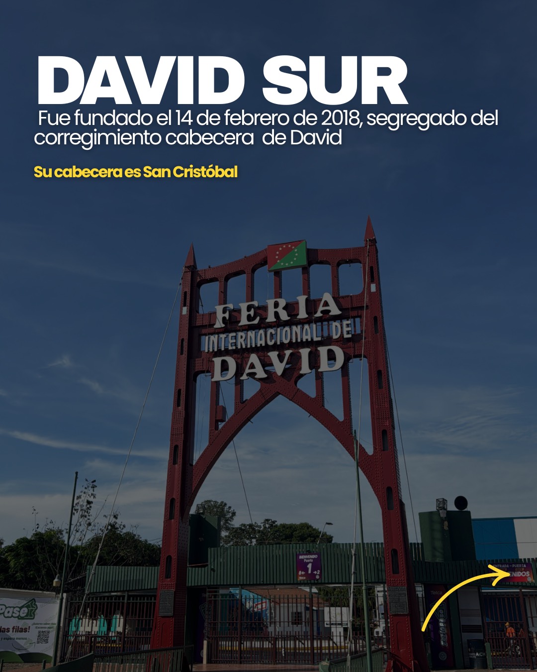 Datos Curiosos david Sur (3)